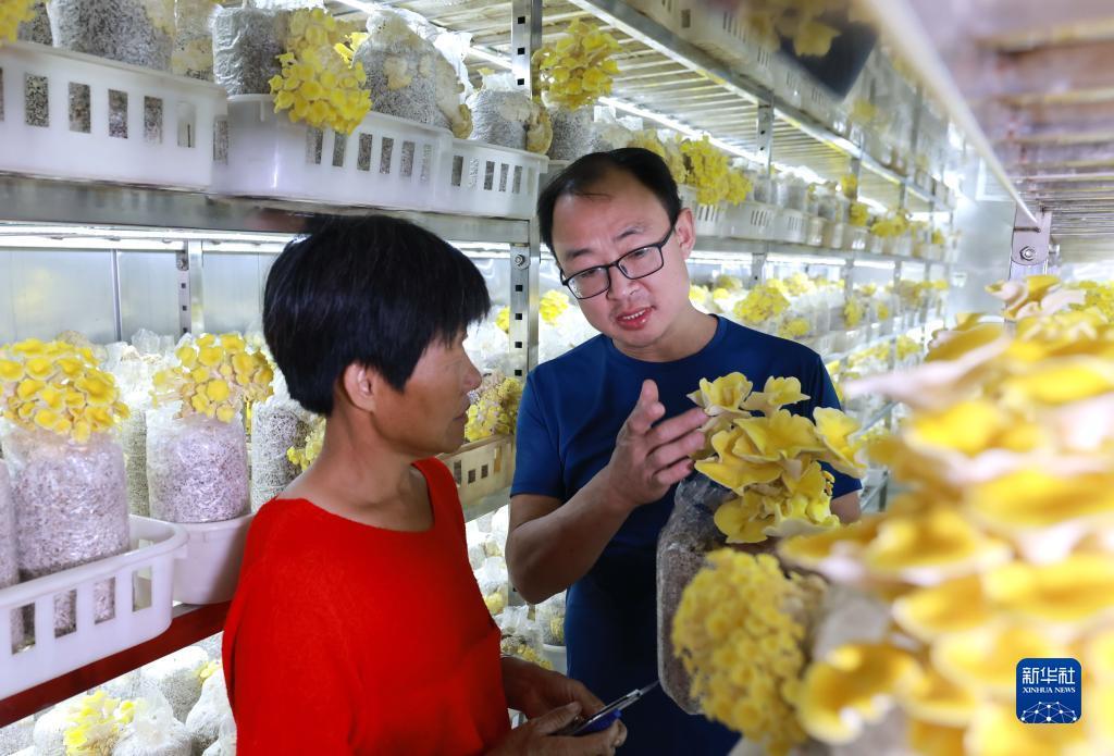 大奖888手机版客户端下载